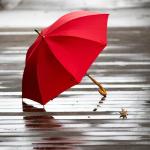 Umbrella